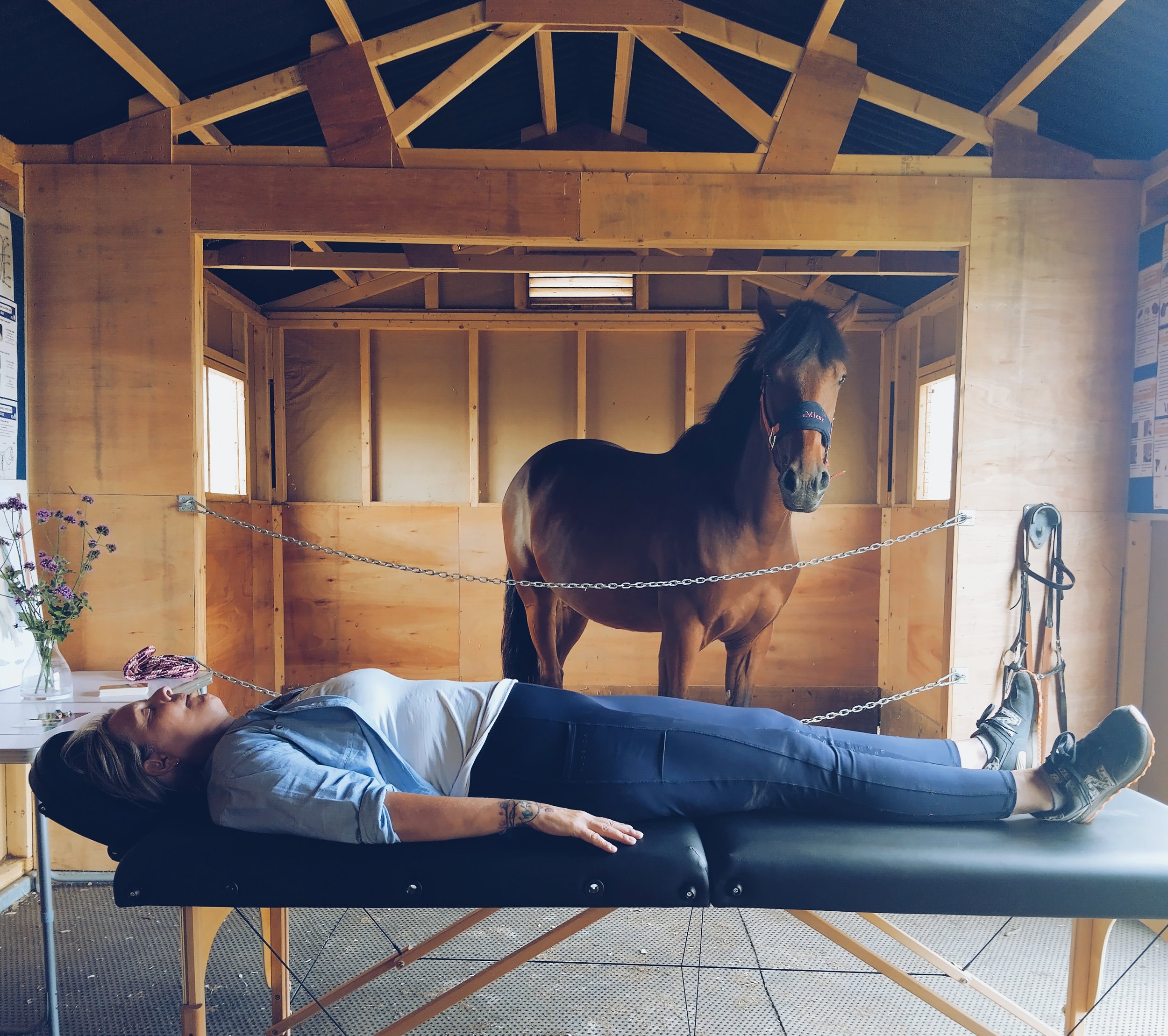 Equine Assisted Reiki